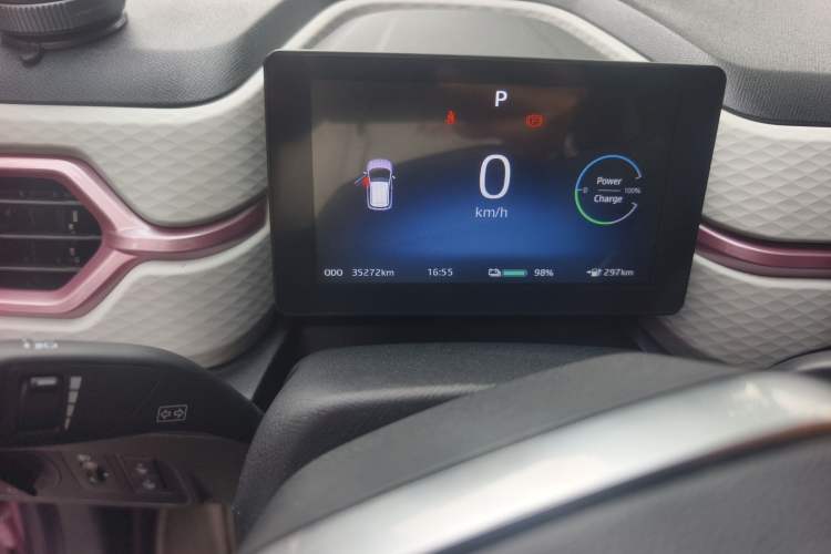 Used SOL E10X 2022 Flower Fairy Design Sunflower Odometer Close Up