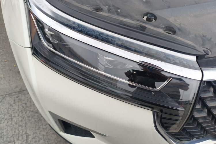 Used Venucia Star 2020 260T Automatic 48V Mild Hybrid Turbocharged Starry Edition
