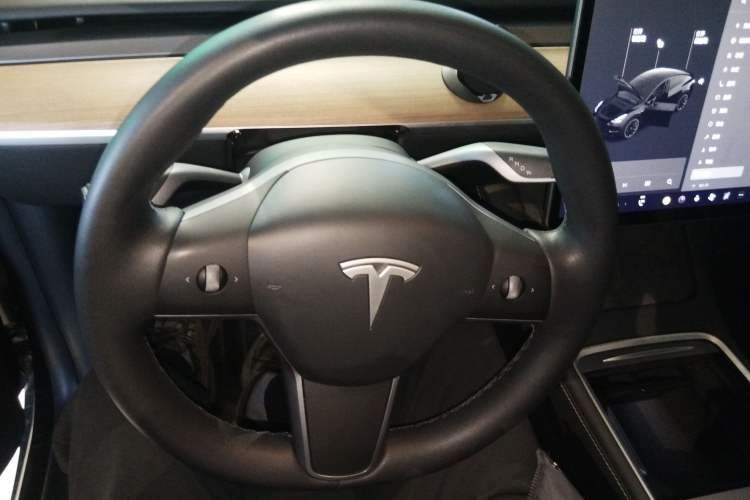 Used Tesla Model Y 2021 Standard Range Rear-Wheel Drive Version
