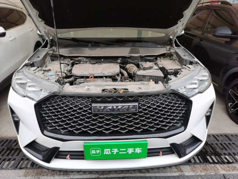 Used Haval H6 2021 3rd Generation 2.0T Automatic Two-Wheel Drive Max — 19