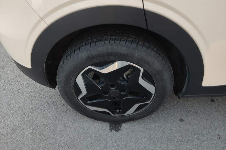 Used Geely Galaxy Geome 2025 310km Youth Edition