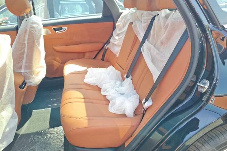 Used Hima H5 2025 Model Pure Electric Pro Left Rear Seat