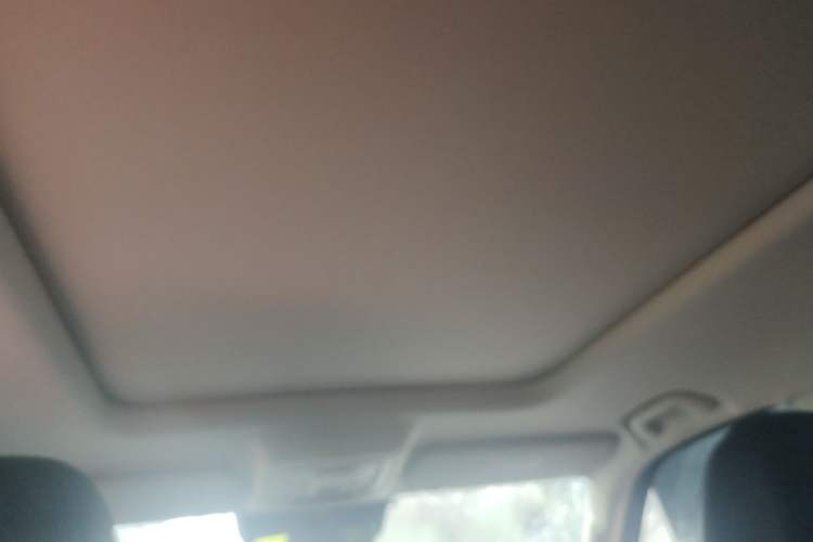 Used Haval Raptor New Energy 2024 Hi4 102 Pro Headliner