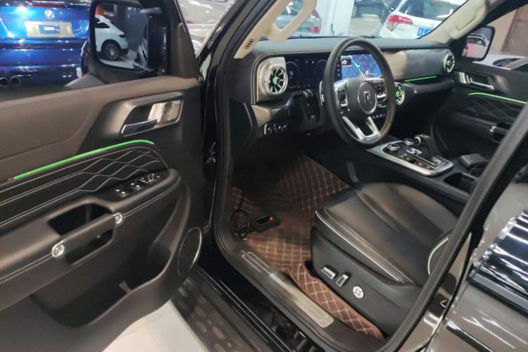 Used Tank 300 2024 2.0T Conqueror