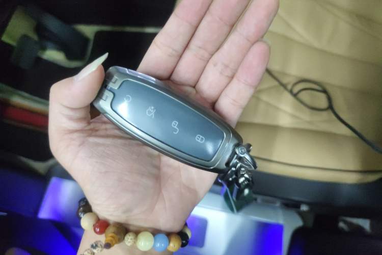 Used Denza D9 2024 DM-i 970 Luxury Model
