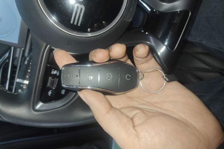 Used BYD Seal 2023 Champion Edition 550km Prestige Model