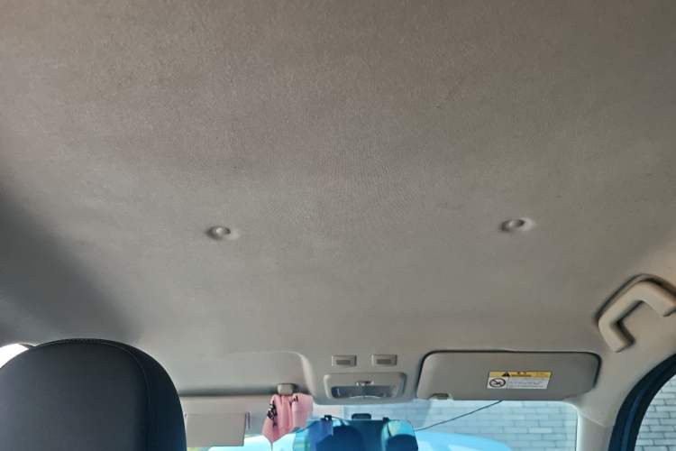 Used ORA Black Cat 2019 351 km Family Edition