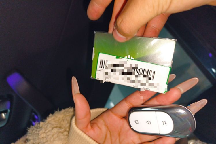 Used Leapmotor C16 2024 Pure Electric 520 Deluxe Edition
