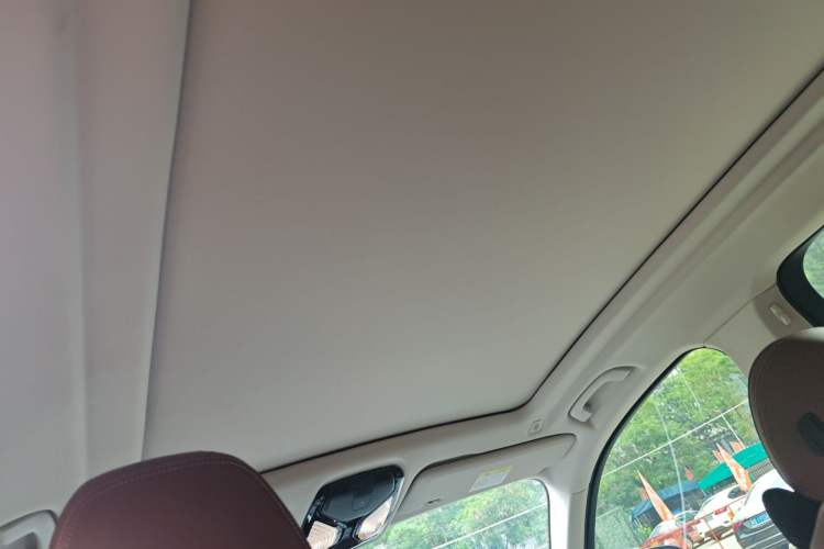 Used BMW X5 2021 Restyled xDrive30i M Sport Package Headliner