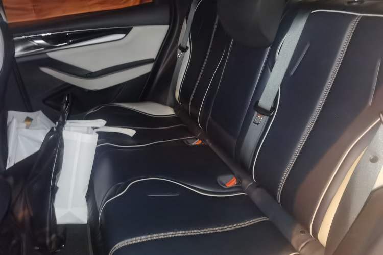 Used BYD Qin PLUS 2021 DM-i 55KM Flagship Model Left Rear Seat