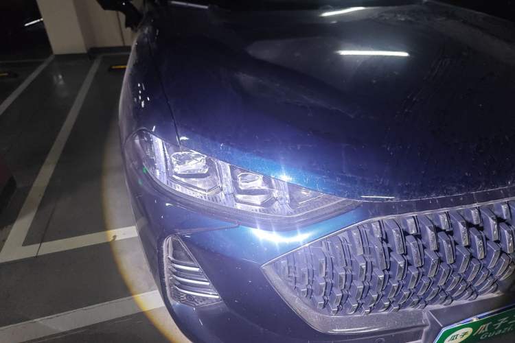 Used Wey Mocha 2021 2.0T Two-Wheel-Drive Premium Edition
