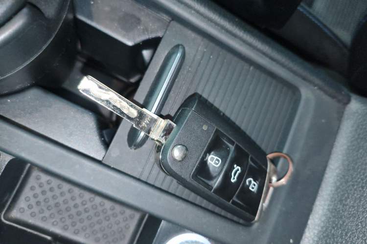 Used Volkswagen Golf Pure Electric 2020 Chari
