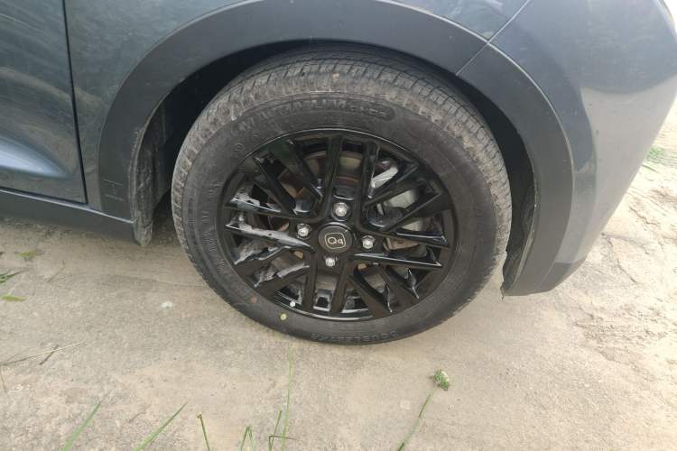 Used Chery Little Ant 2024 321km Love Edition
