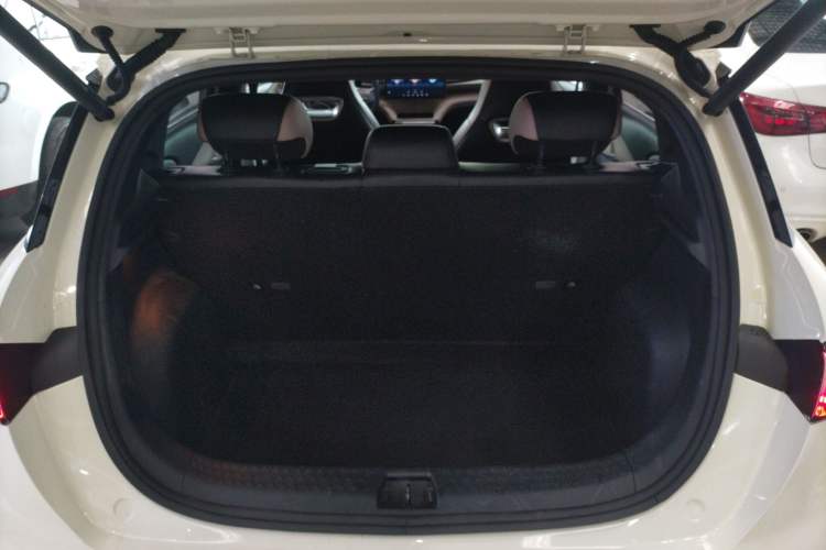 Used BYD Dolphin 2023 420 km Free Version Trunk