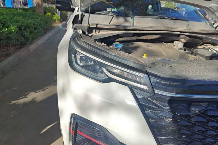 Used CHANGAN CS55PLUS 2021 Blue Whale Edition 1.5T DCT Prestige Model
