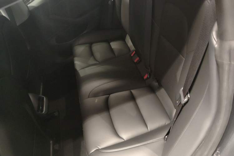 Used Tesla Model 3 2020 Refreshed Version Long-Range Rear-Wheel Drive Left Rear Seat