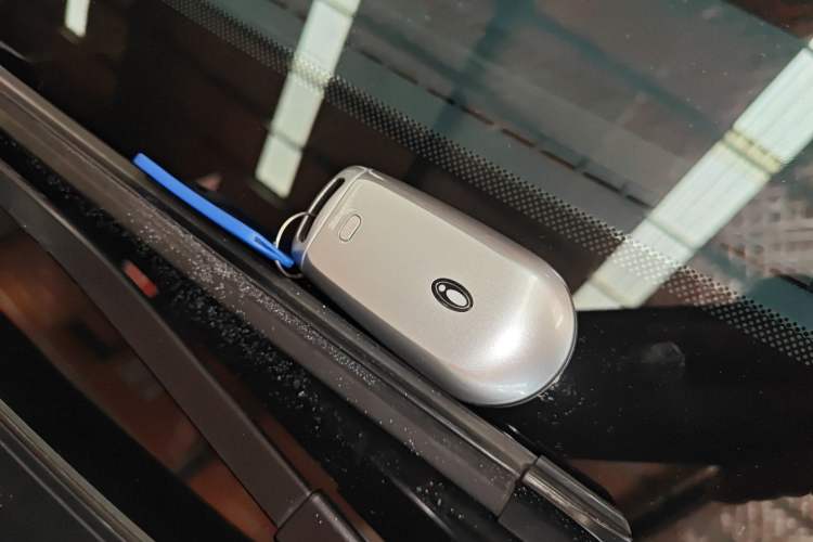 Used ORA Good Cat 2022 Morandi Edition 400km Standard Range Luxury Version Lithium-Ion Battery
