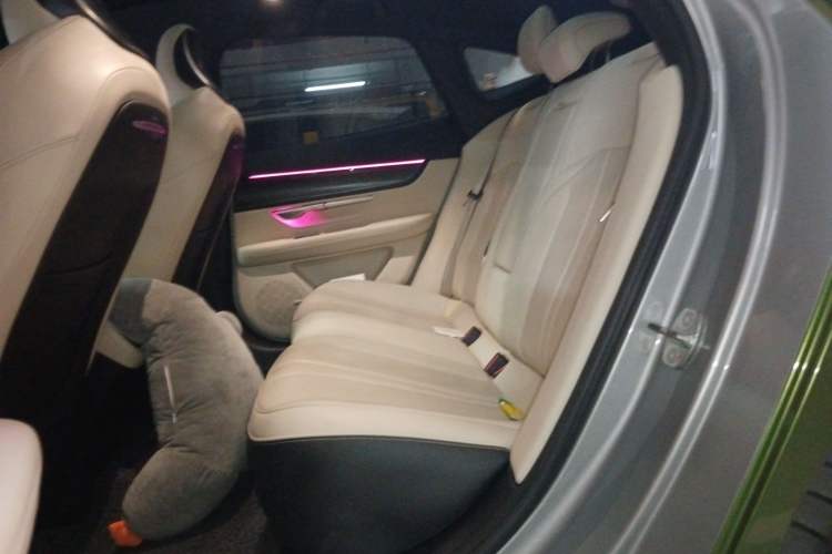 Used XPeng P7 2021 480N Left Rear Seat