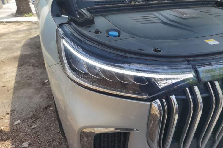 Used VOYAH Dream 2022 Low-Carbon Edition Home