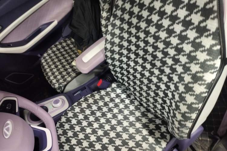 Used Chery Little Ant 2022 Sweet Pink Edition Half-Sugar Version Lithium Iron Phosphate 30 kW 301 km
