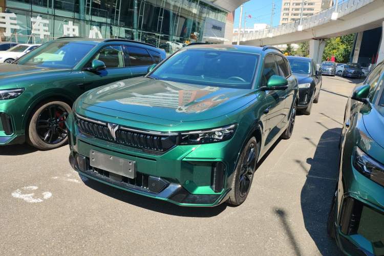 Used VOYAH FREE 2025 318 318 km Rear-Drive Touring Edition