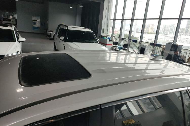 Used Toyota Wildlander 2020 2.0L CVT Two-Wheel Drive Luxury Edition Roof