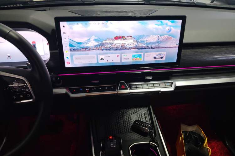 Used Tank 400 New Energy 2024 Hi4-T City Edition
