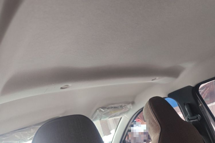 Used Dongfeng NAMMI EX1 2023 PRO Light Wind Edition Lightning Model Headliner