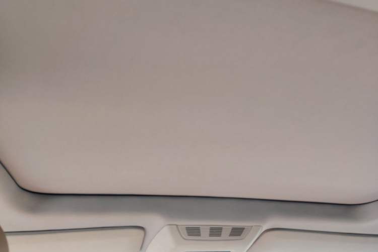 Used BMW 7 Series 2009 740Li Leading Model Headliner