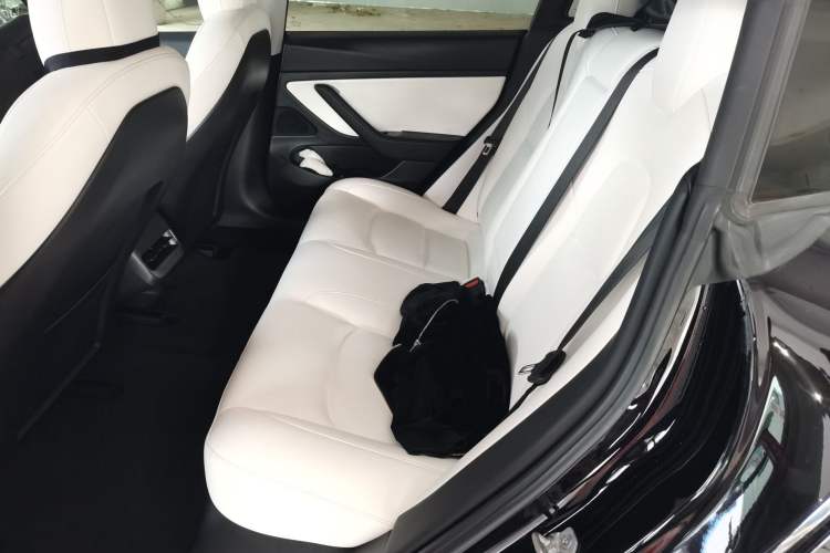 Used Tesla Model 3 2020 Revised Version Standard Range Rear-Wheel Drive – Upgraded Edition Left Rear Seat