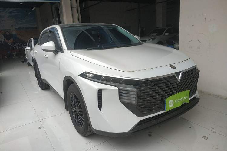 Used Venucia V 2024 260T Idol Joy Ride Pro Edition