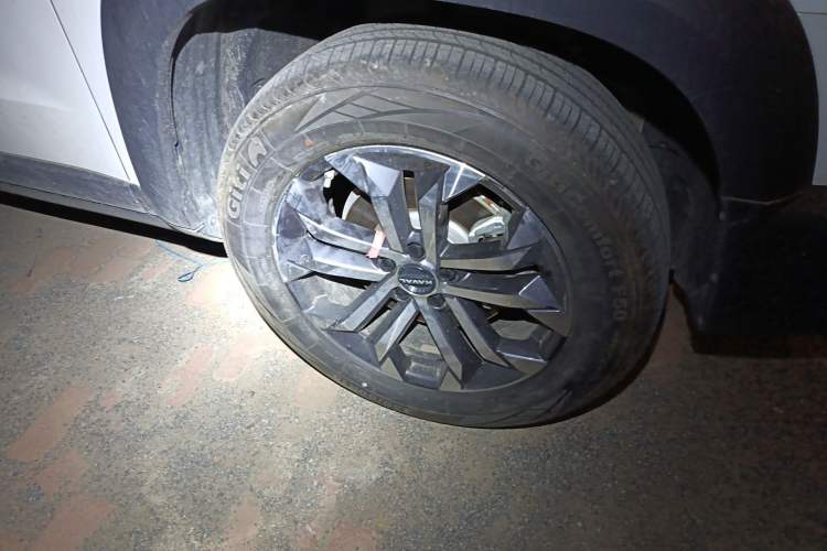 Used Haval DARGO 2024 1.5T DCT Border Collie Edition