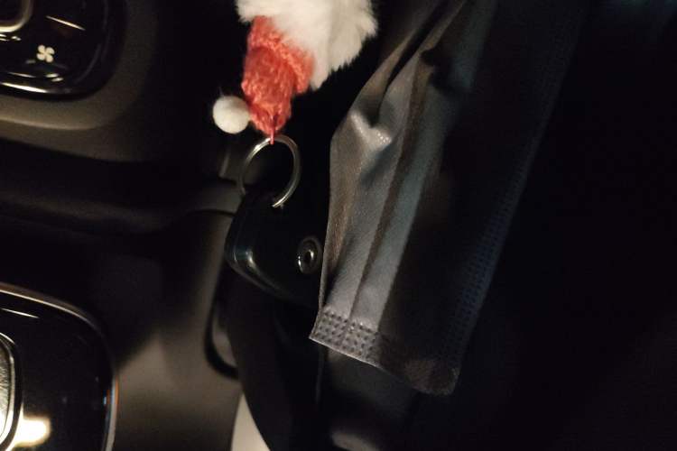 Used smart forfour 2016 1.0L 52 kW Dynamic Edition
