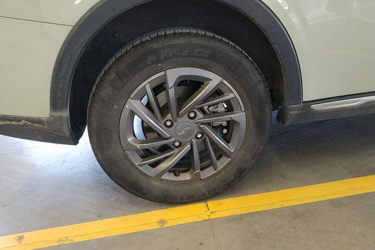 Used NETA AYA 2023 318 Lite