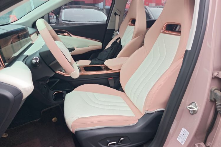 Used NETA U 2022 NETA U-Ⅱ 610 Ternary Lithium