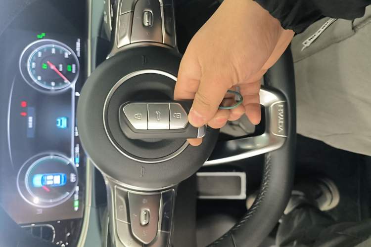 Used VOYAH FREE 2021 Four-Wheel Drive Standard Range-Extended Exclusive Luxury Package
