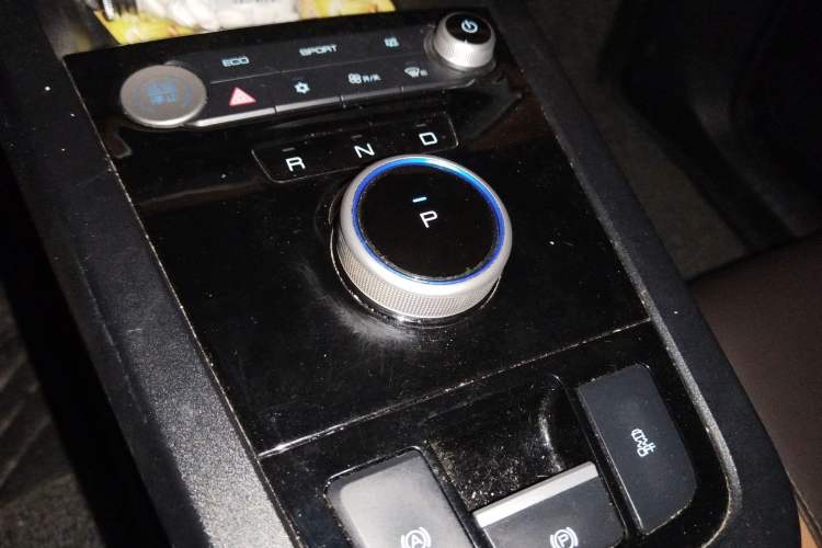 Used BYD e2 2021 Luxury Model Gear Lever