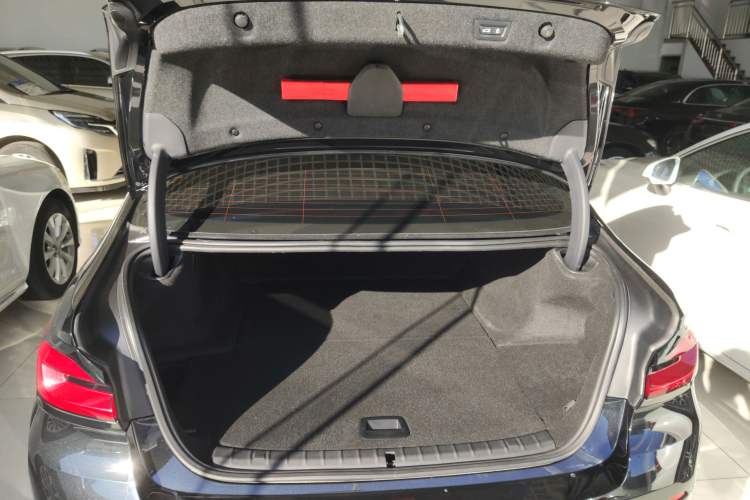 Used BMW 5 Series New Energy 2021 535Le Luxury Package