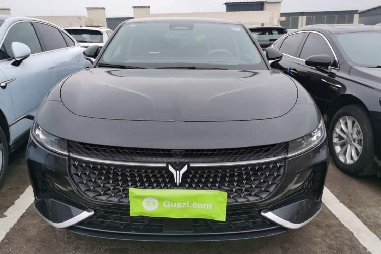 Used VOYAH PASSION 2024 PHEV Four-Wheel Drive Ultra-Long Range Flagship Model Front