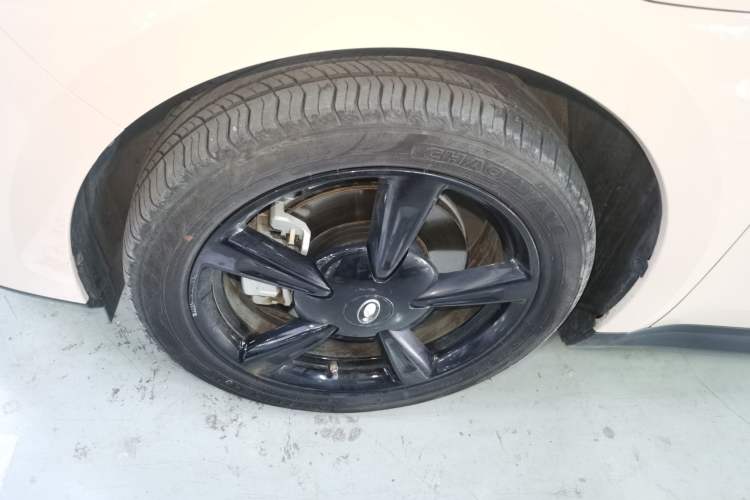 Used ORA Good Cat 2024 401 km Luxury Version