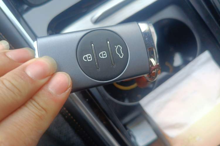 Used EXEED Lingyun 2024 300T Two-Wheel Drive Starlight Edition
