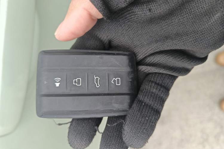 Used Tank 300 2021 City Edition 2.0T—Truly Stylish
