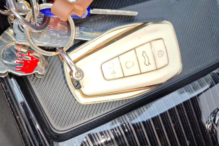 Used Geely Auto Monjaro L 2024 2.0TD High-Power Automatic Two-Wheel Drive Skyline Edition