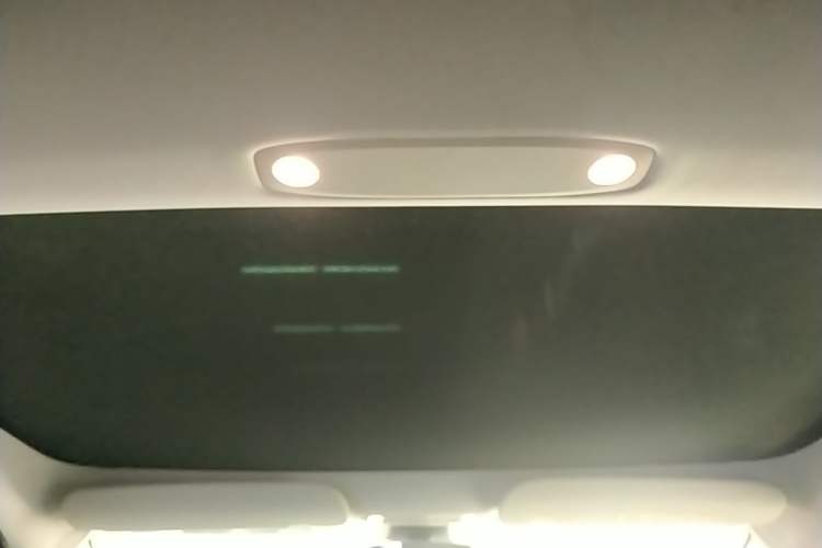 Used Tesla Model 3 2021 Performance High-Performance All-Wheel-Drive Version Headliner