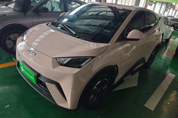 Used BYD Seagull 2024 Honor Edition 305km Freedom Version