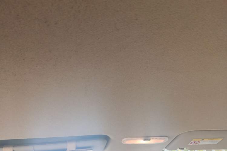 Used Venucia R50 2013 1.6L Automatic Fashion Edition Headliner