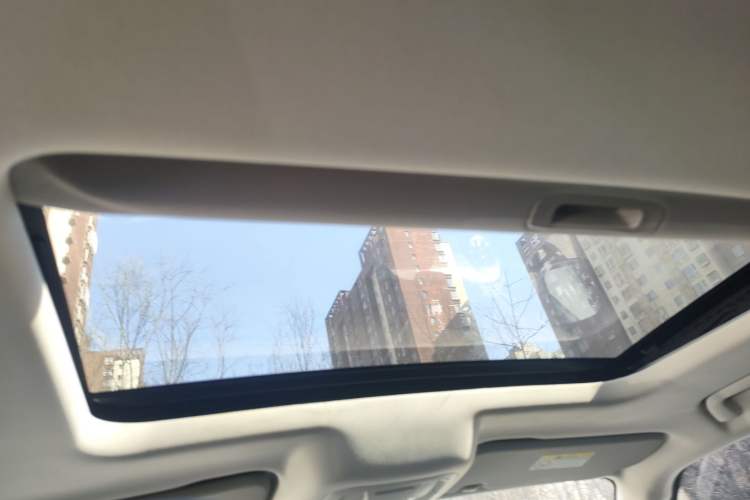 Used Tank 300 2021 Off-Road Edition 2.0T Conqueror