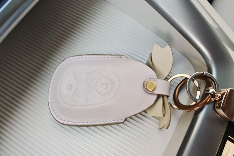 Used Geely Galaxy Geome 2025 310km Dream Edition Vehicle Key