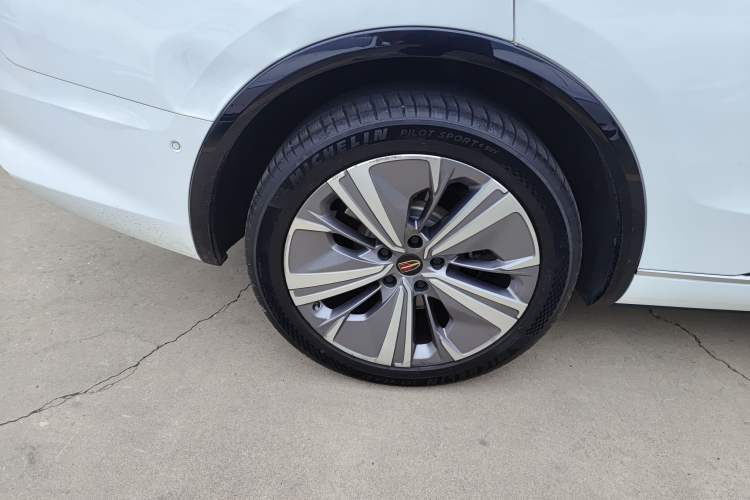 Used Hongqi E-HS9 2021 460 km Range Flagship Edition Six-Seater
