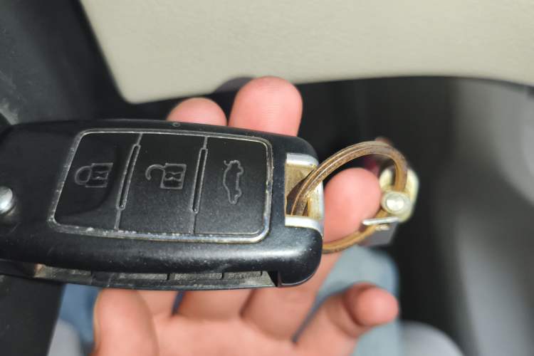 Used FORTHING Lingzhi 2020 M5 1.6L Practical Model